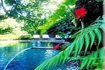 Hotel Tjampuhan And Spa Ουμπούντ Εξωτερικό φωτογραφία